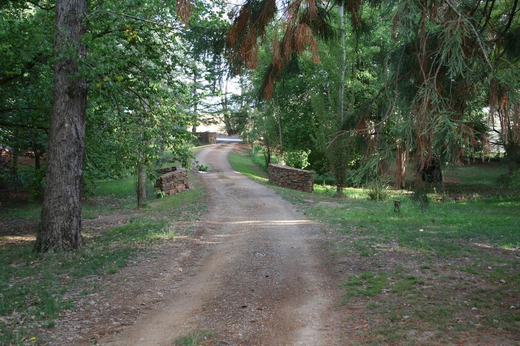 אורנג' Mayfield Vineyard מראה חיצוני תמונה