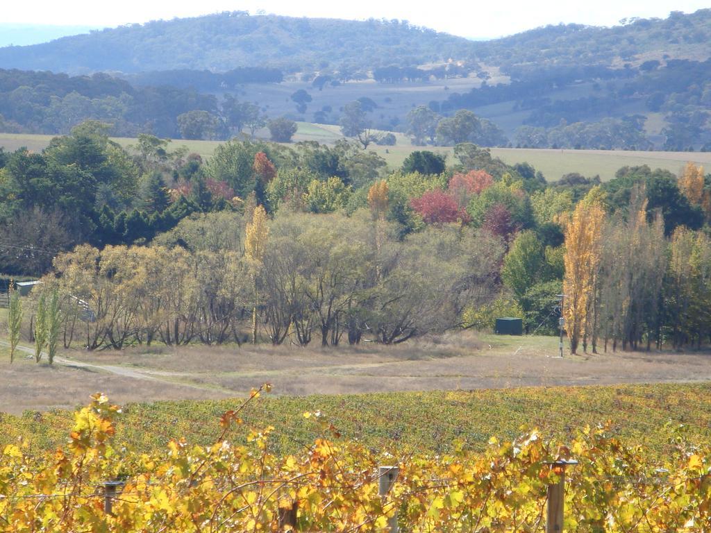 אורנג' Mayfield Vineyard מראה חיצוני תמונה